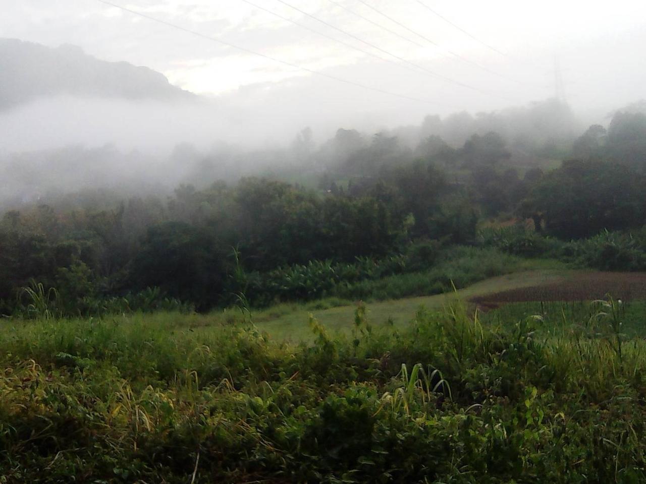 红z冷山度假村 考科 外观 照片